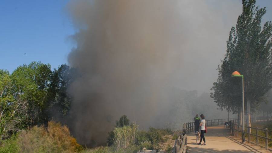 Antes de la llegada de los vehículos de bomberos el incendio causó una gran columna de humo. Foto: Àngel Juanpere
