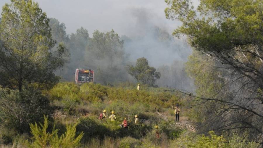 El fuego de ayer se localizó cerca del producido el pasado 1 de agosto. Foto: àngel juanpere