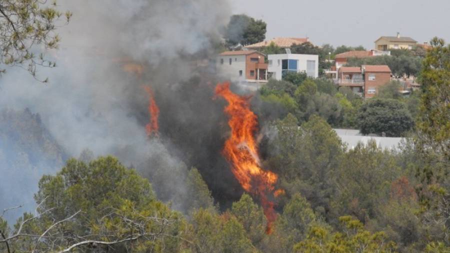 Les flames van amenaçar alguns habitatges de la urbanització i els bombers van haver de fer un contrafoc. Foto: Àngel Juanpere