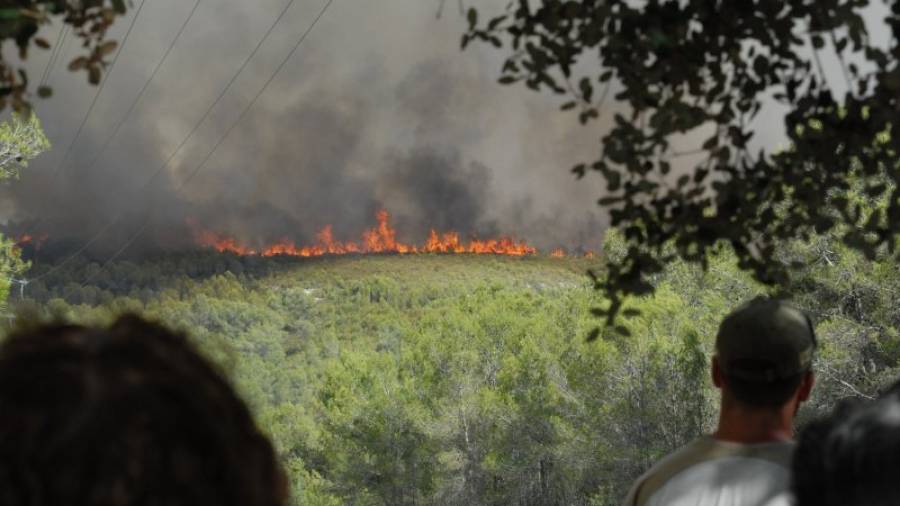 Incendio forestal ocurrido hace unos años en la zona del Mèdol, en el término municipal de Tarragona. FOTO: ÀNGEL JUANPERE