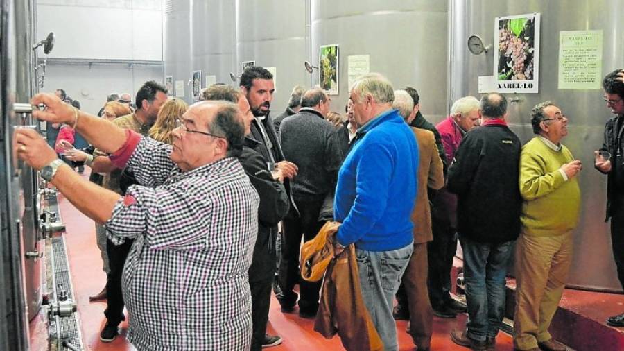 Participants de la Festa del Vi Jove de Vila-rodona tastant vins directament dels dipòsits. Foto: M. Plana