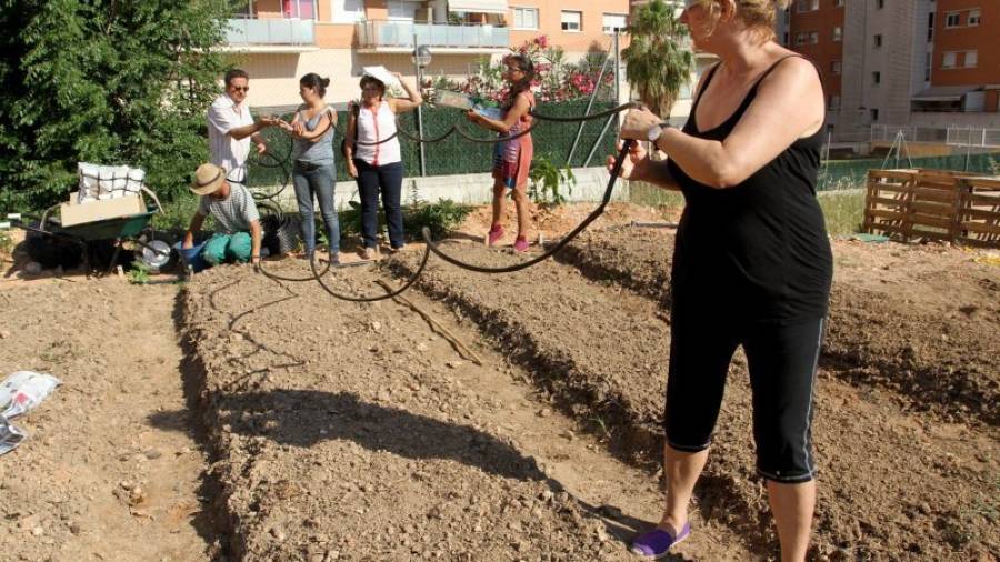 En la URV organizaron una fiesta para celebrar su primera plantada de semillas. Foto: Lluís Milián