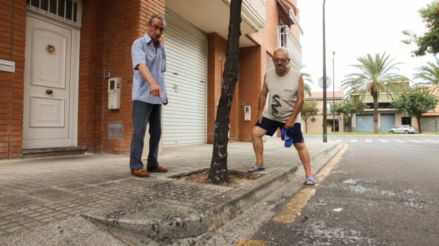 Los vecinos, Ignacio Laguarta y Juan Antonio Carricondo, señalan la plaga de insectos parásitos Foto: ALBA MARINÉ