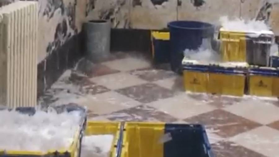 Captura de pantalla del vídeo que circula por las redes con las oficinas de Correos de Reus completamente inundadas.
