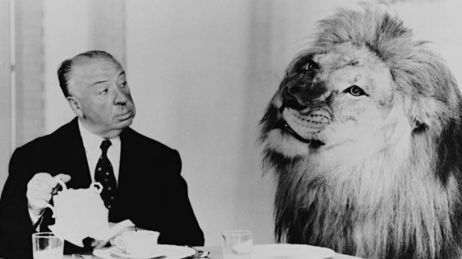 Hitchcock, en una foto de la exposición, sirviendo el té a Leo, uno de los leones de la Metro Goldwyn Mayer (MGM). Foto: album-espacio fundación telefónica