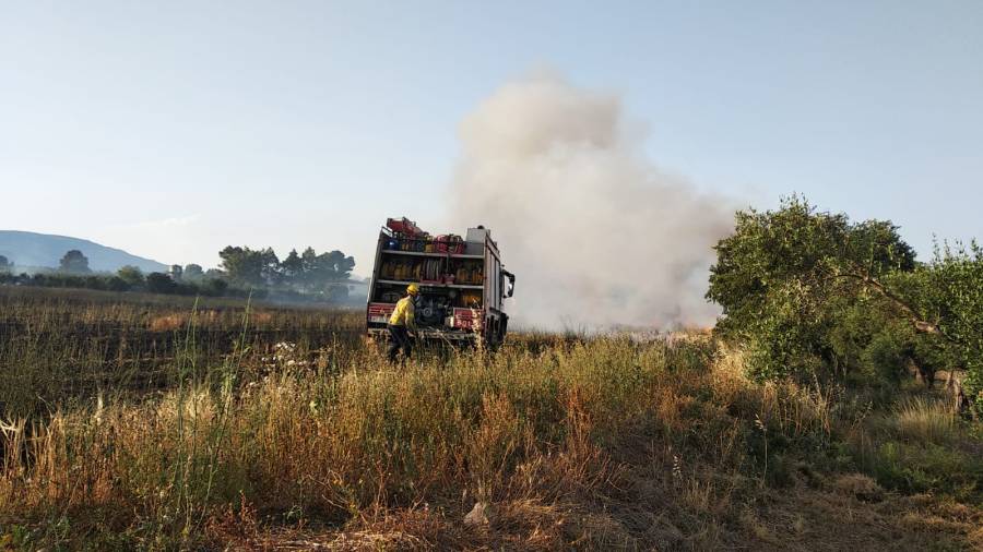 Un incendi talla la carretera entre Alcover i Vilallonga del Camp