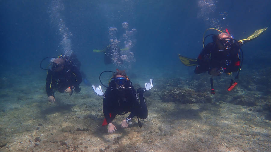 FOTO: Pl&agrave;ncton Diving