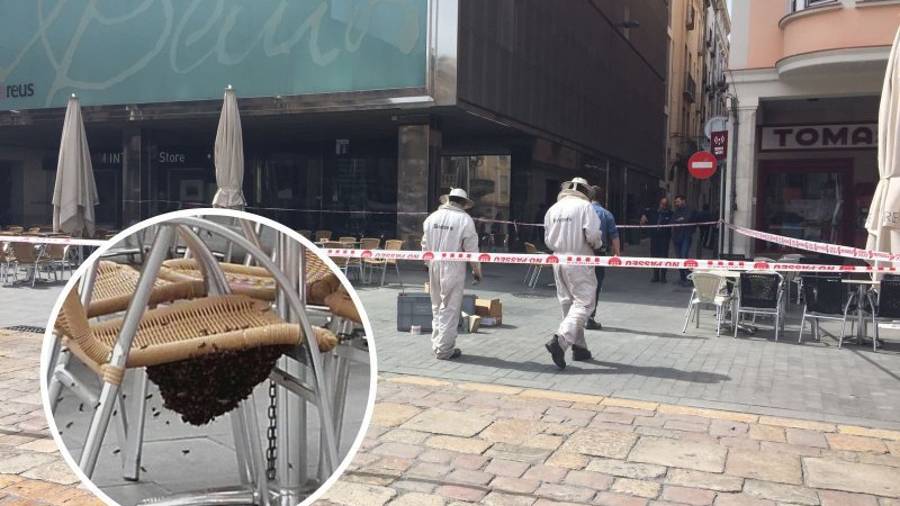 Imagen de los bomberos actuando en el enjambre de abejas que se ha instalado en una silla de la plaza Mercadal. Foto: Cedida