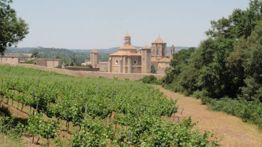 Imatge de l´entorn agrícola i forestal del monestir de Santa Maria de Poblet. Foto: Cedida PNP