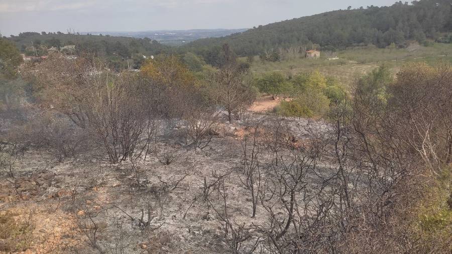 El incendio ha calcinado 4.600 metros cuadrados de vegetación. Foto: Cedida