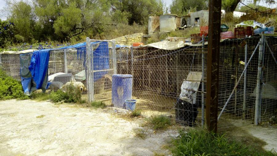 Generalitat y Guardia Civil abren diligencias contra una de las perreras por abandono de animales