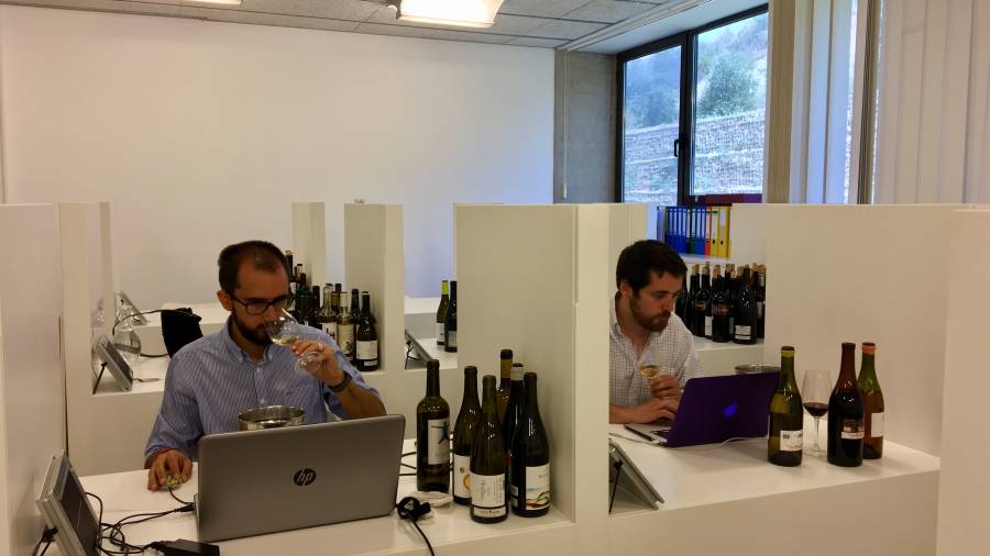 Durante tres d&iacute;as el equipo de cata del manual de vinos ha examinado m&aacute;s de 500 referencias de la DOQ Priorat y la DO Montsant. FOTO: CEDIDA