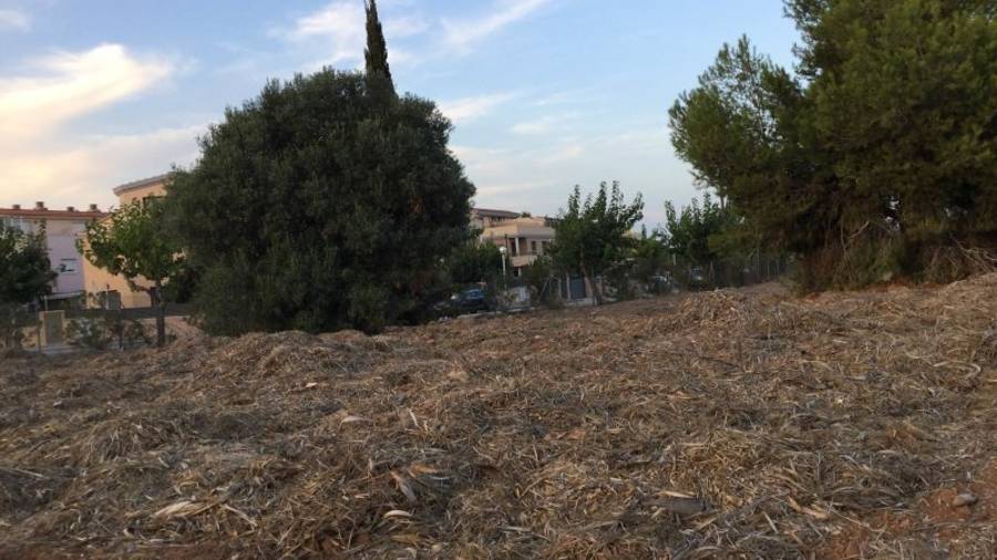 El Ayuntamiento deposita la poda de hierbas de las urbanizaciones para evitar que vuelvan a crecer. Pero allí podría haber nidos de ratas. Foto: Cedida
