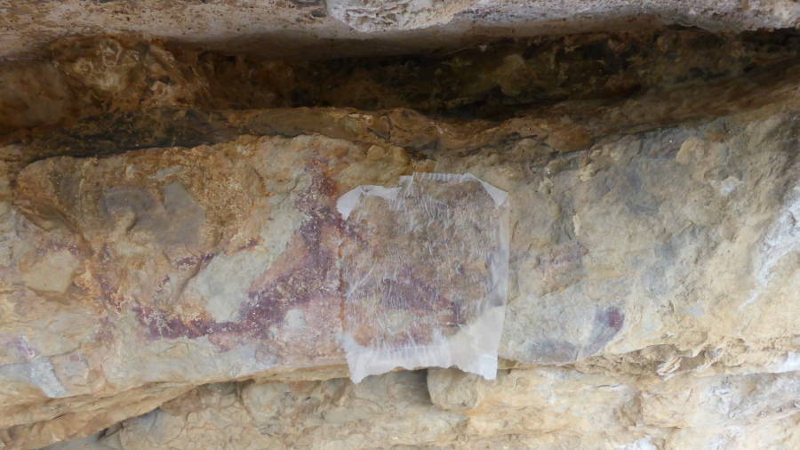 Detall de les pintures rupestres del Coc&oacute; de la Gralla, al parc natural dels Ports.
