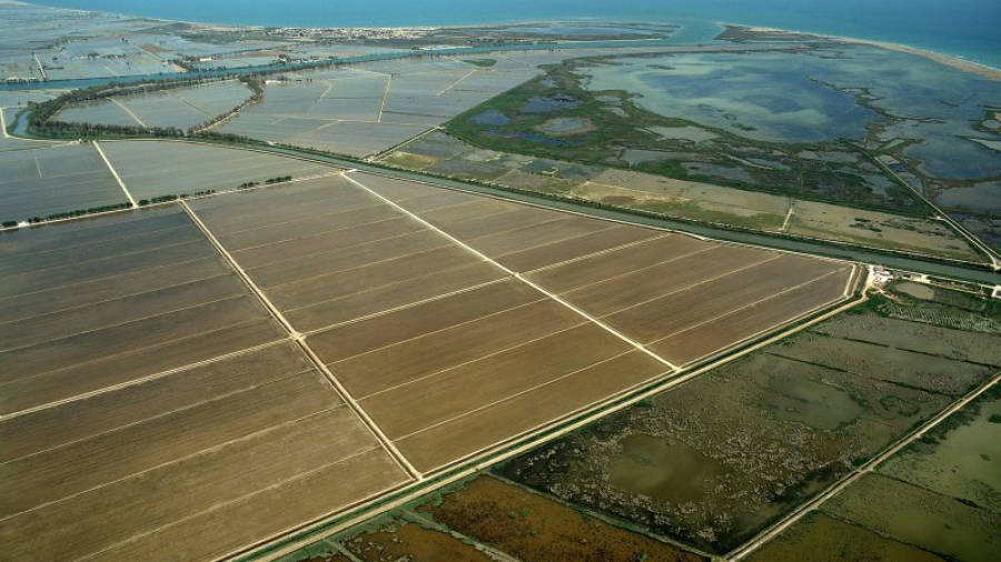 Imatge aèria de la finca el Violí del Delta de l'Ebre que es tornarà a convertir en una zona humida. Foto: ACN