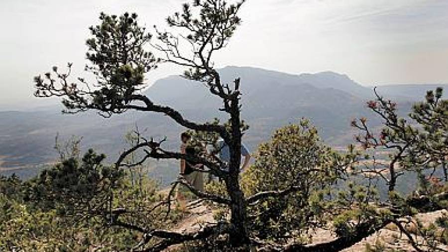 El Govern consulta la creació del nou Parc Natural de la Serra de Prades