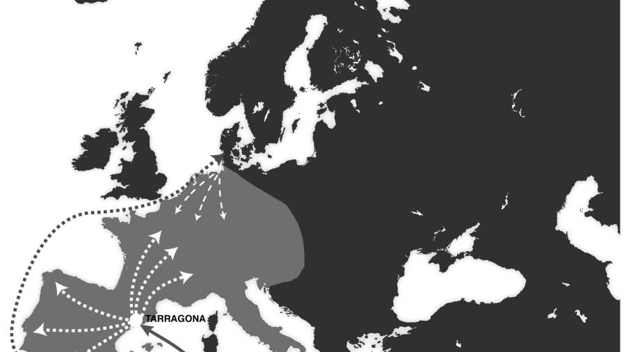 Los dos grandes flujos comerciales son Asia-Am&eacute;rica (por pac&iacute;fico) y Asia-Europa (por el canal de Suez y el Mediterr&aacute;neo). Entre el 75 y el 80% de las mercanc&iacute;as prosiguen su ruta hacia Gibraltar y los puertos del norte de Europa. El gran reto est&aacute; en atraer estos tr&aacute;ficos y que puedan llegar al centro de Europa desde el Mediterr&aacute;neo. Foto: DT