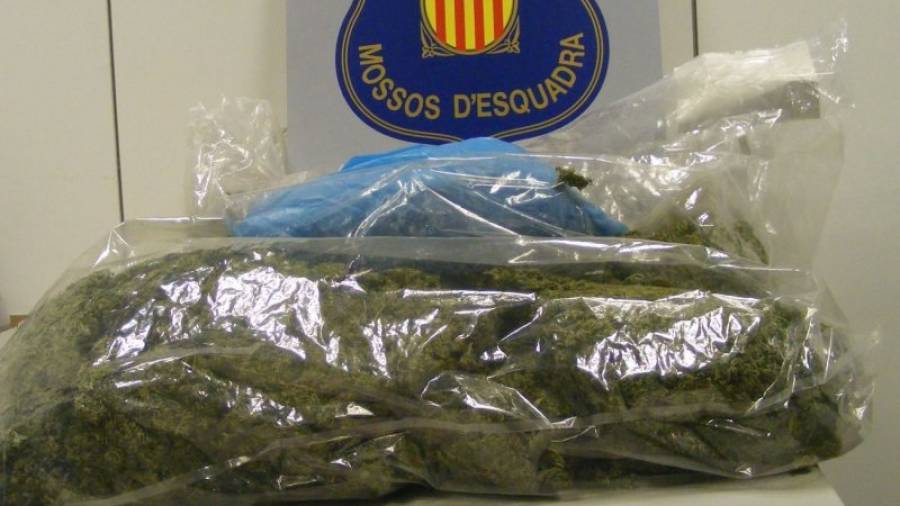 La marihuana i els diners incautats als dos detinguts en la intervenció policial. Foto: dt