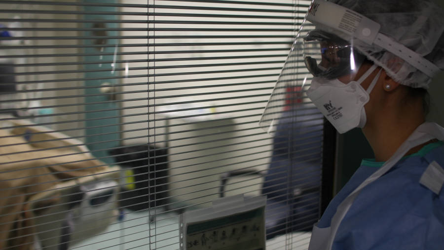 Una sanitaria en la UCI del Hospital Verge de la Cinta de Tortosa, durante la pandemia. Foto: ICS EBRE