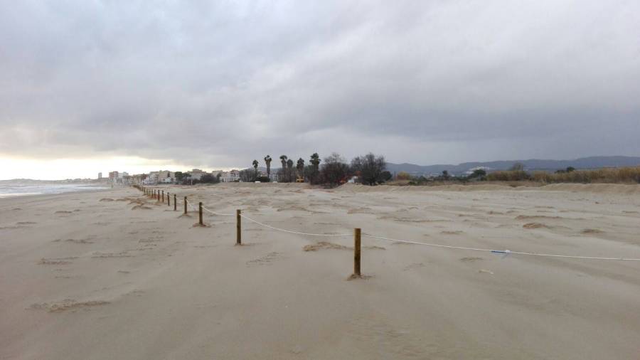 La zona de dunas retiete la playa y acumula arena.