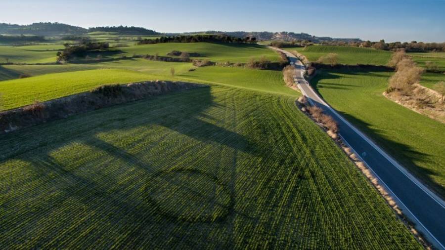 Imagen aérea del círculo que ha aparecido en un campo de cereales a seis kilómetros de Santa Coloma. Foto: startap.cat