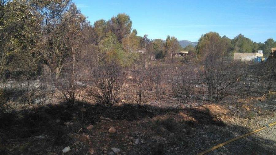 Imatge de la zona cremada aquest matí al Pla de Santa Maria. Foto: Bombers de la Generalitat.
