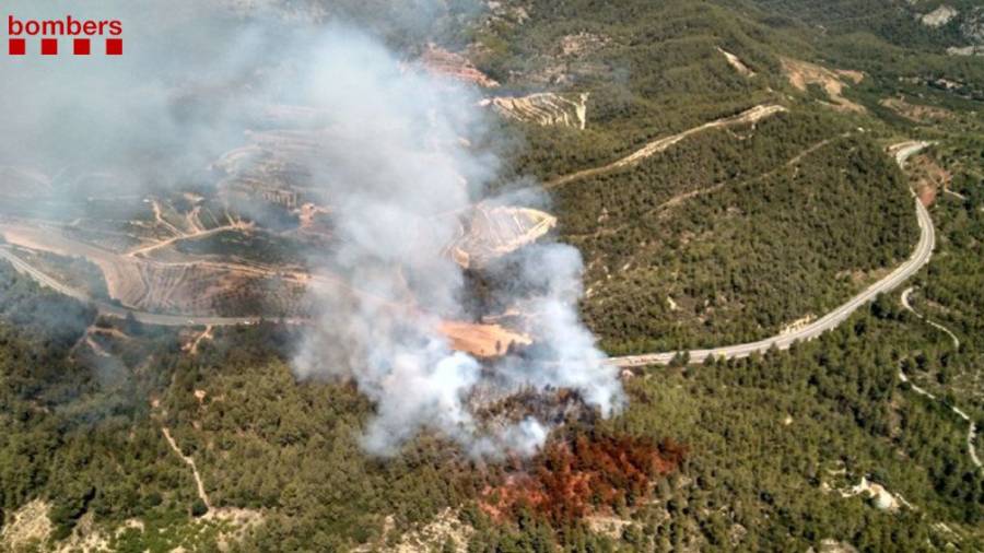 Imagen a&eacute;rea del incendio de Tivissa. FOTO: Bombers