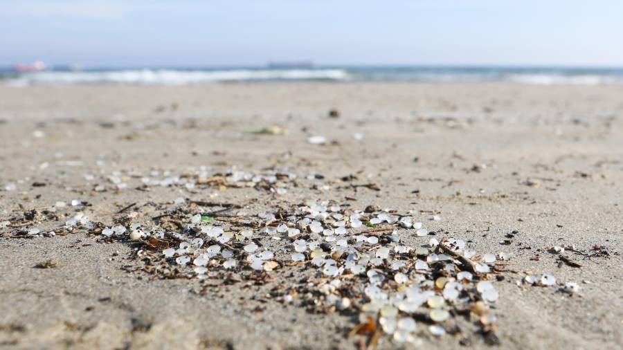 Las microesferas de polietileno y poliestireno que aparecieron en la playa de La Pineda. FOTO: Alba Mariné