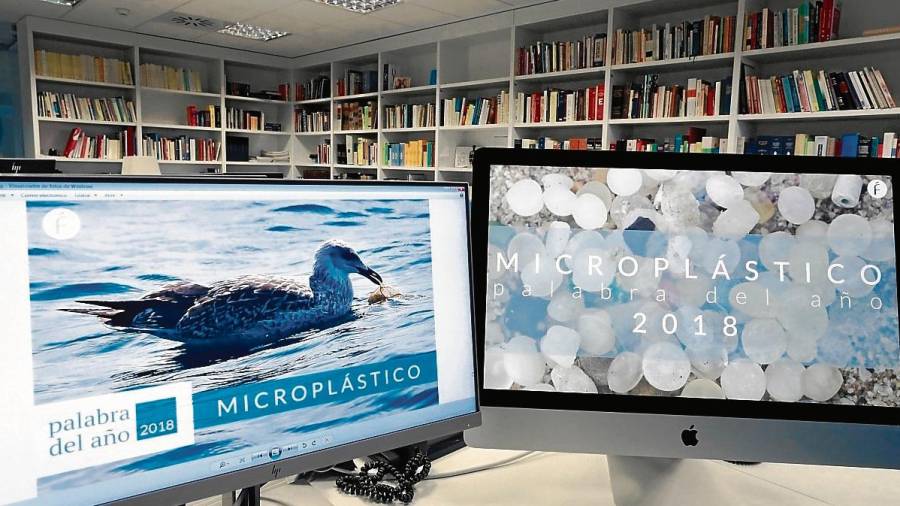 Microplástico ha sido elegida palabra del año 2018 por la Fundéu BBVA. FOTO: EFE