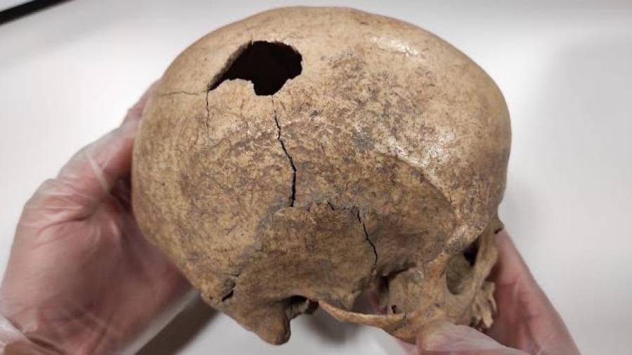 Imagen del cráneo que se ha encontrado en la Cova Foradada de Calafell. Foto: Cedida