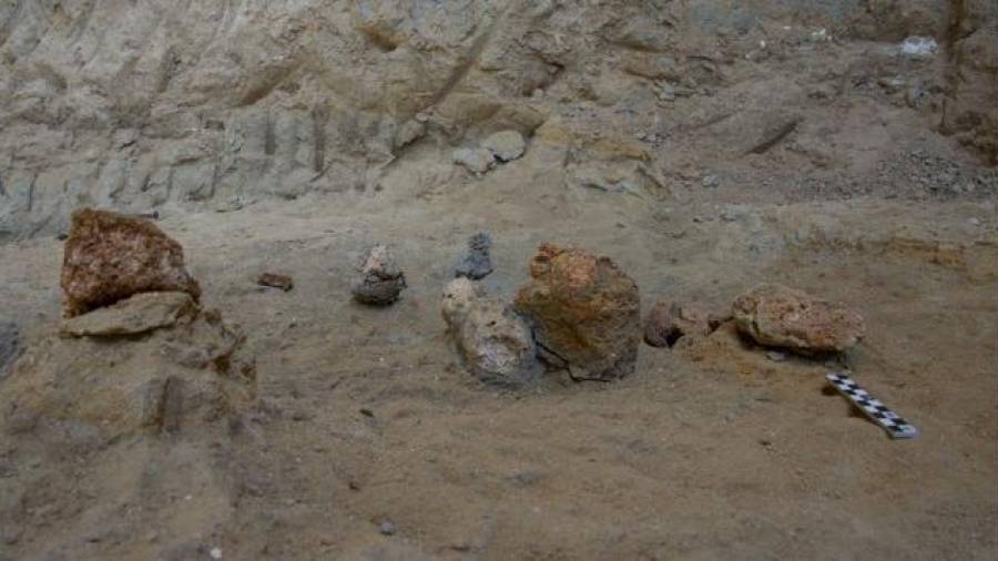 Hallan costillas de mamut y herramientas de sílex de hace un millón de años en La Canonja