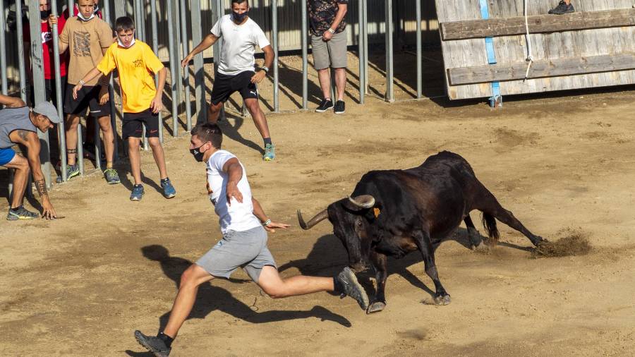 Corredors davant del bou, amb mascareta. foto: Joan Revillas