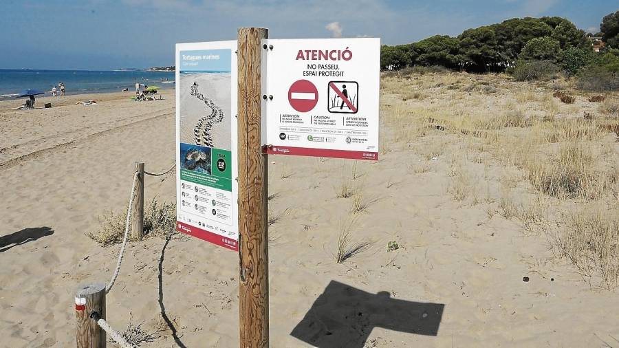 Un cartel en la zona de dunas de la Platja Llarga informa de que en este punto anidan tortugas bobas. FOTO: Lluís Milián/DT