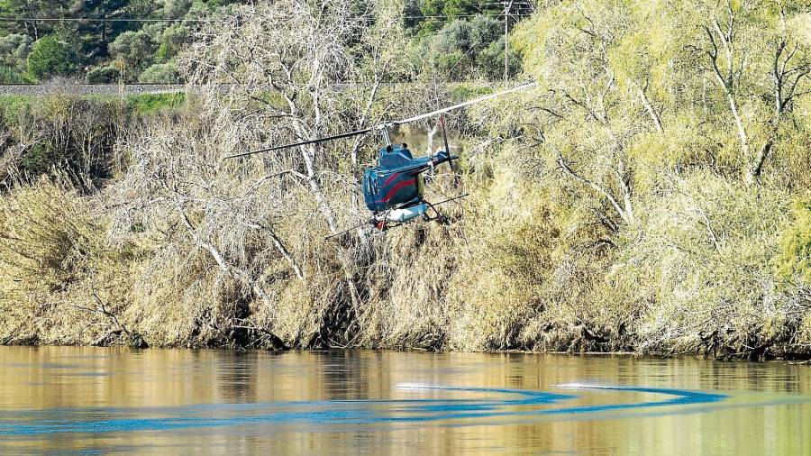 L’helicòpter emprat per abocar al riu Ebre el producte biològic BTI contra les larves. FOTO: J. Revillas