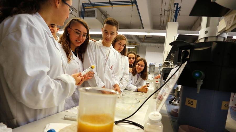 El taller ‘Vols fer de químic a la cuina’ se celebró ayer en la Facultat de Química de la URV. FOTO: PERE FERRÉ