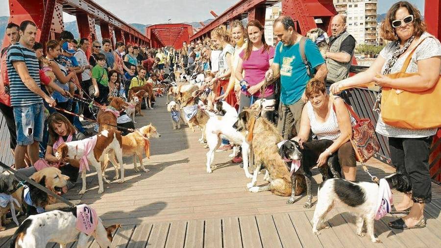 Socis, adoptants i animals d'ARCA a Tortosa. Foto: Cedita
