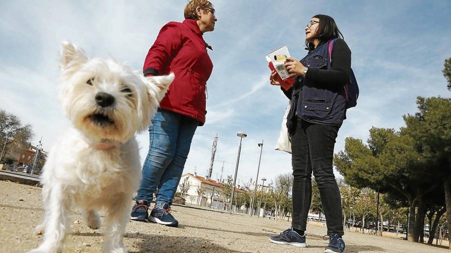 Una informadora explica en qué consiste la campaña a la dueña de un perro en el barrio de Campclar. FOTO: pere ferré