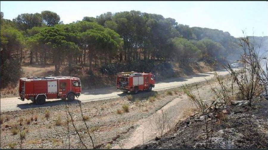 El incendio se produjo en una zona agrícola de Cambrils y podría haber sido provocado por la caída de un cable.