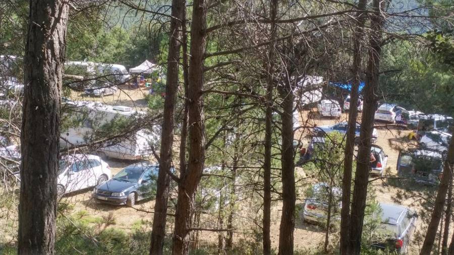 Pla obert de centenars de cotxes en un camp de Querol, a l'Alt Camp, en una festa 'rave' il·legal. Foto: ACN