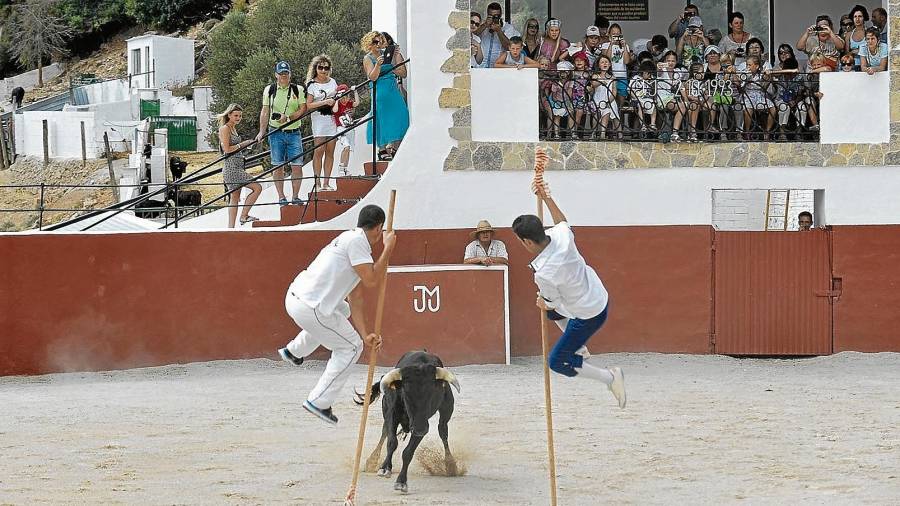 Imatge d’arxiu dels espectacles taurins que es feien a la ramaderia Mur l’any 2012. FOTO: Joan Revillas