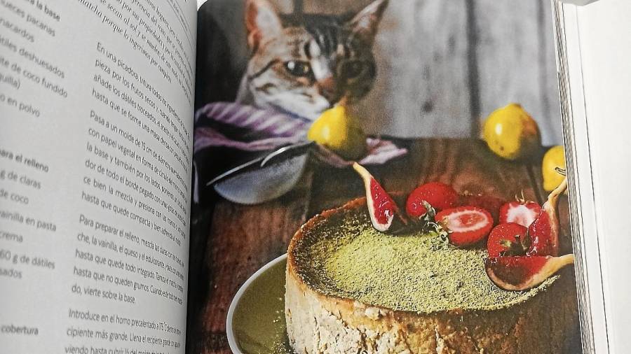 Marta tiene dos gatos: Lía y Mango, a quienes sus seguidores también adoran. En la imagen, Lía acechando el ‘cheesecake’ de té matcha, una de las recetas que encontraremos en el libro. Foto: Marta Sanahuja