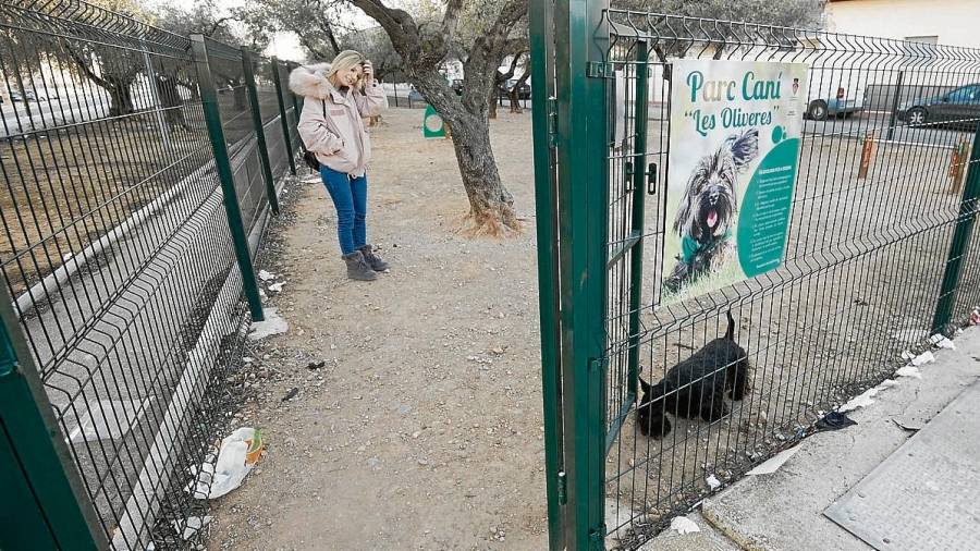 Al parc caní es permet que els gossos vagin deslligats i facin les seves necessitats. FOTO: Joan Revillas