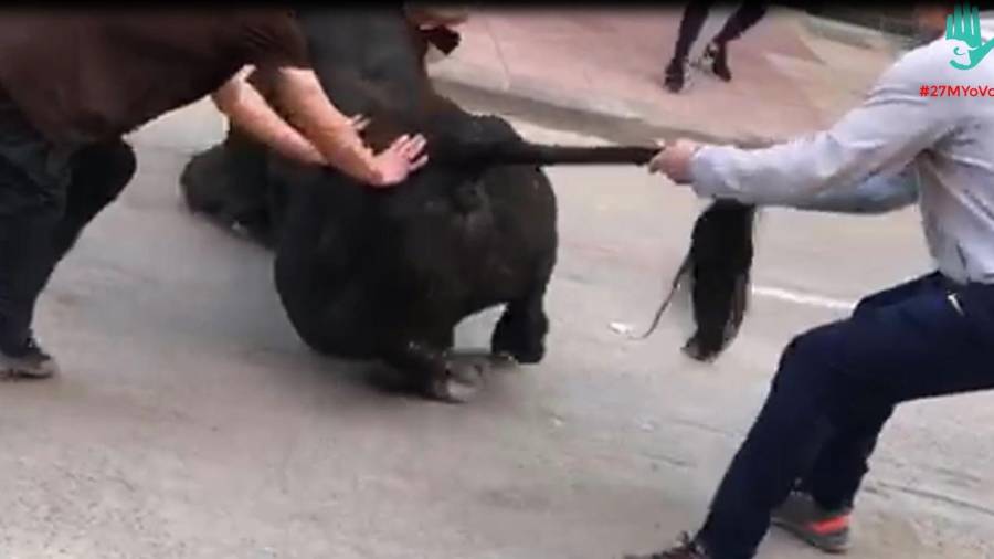 Imagen tomada del vídeo en que se puede ver a dos jóvenes azuzando al toro