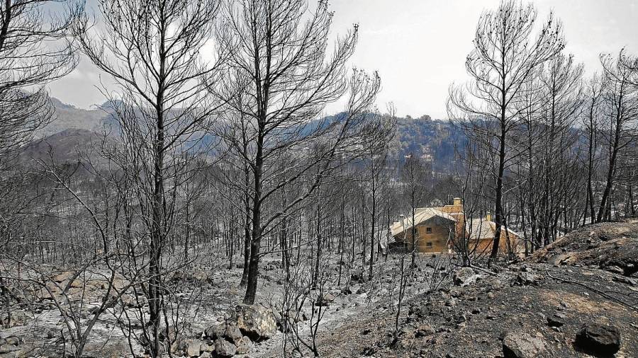 Una de las viviendas afectadas por el incendio forestal de Llutxent en la zona de la Marxuquera. FOTO: efe