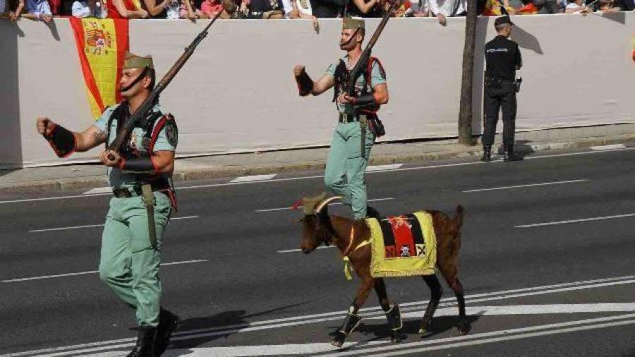 La cabra de la Legión es uno de los símbolos más aplaudidos en el desfile del 12 de octubre. FOTO: Ministerio de Defensa