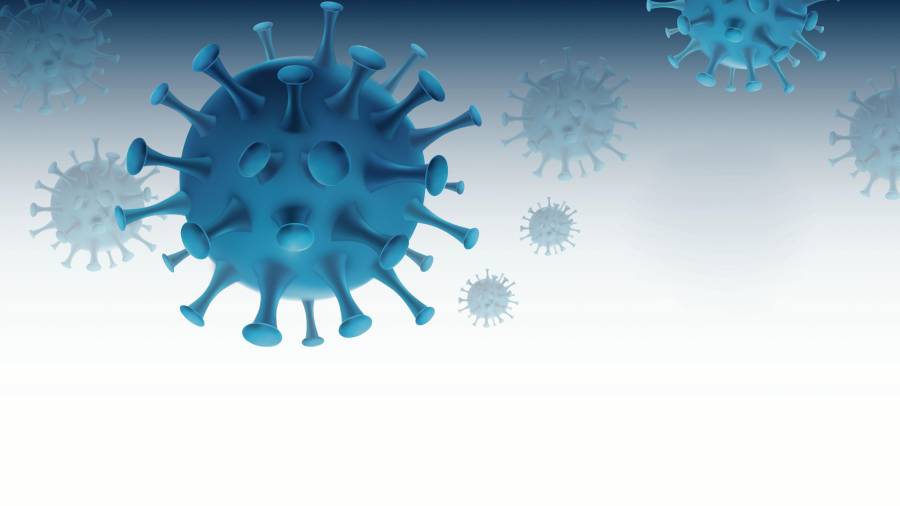 La URV descubre cuatro fármacos contra el virus. DT