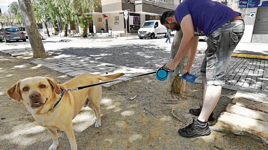 Andrei y su perro Rocky salen de paseo con la botella de agua preparada. FOTO: Alfredo González