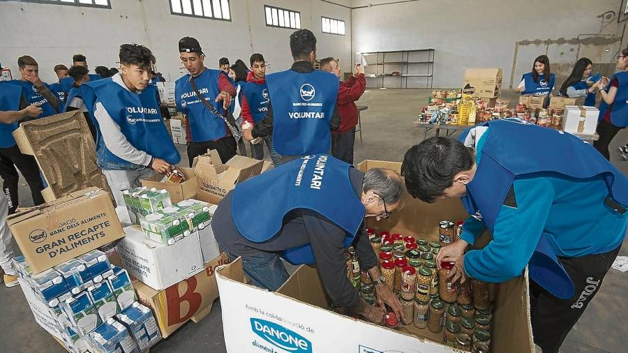 Els voluntaris del magatzem distribuint els aliments que arriben dels supermercats en diferents caixes. FOTO: joan revillas