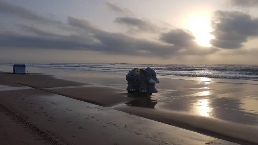 Imagen del elefante aparecido en la playa de Torredembarra. DT