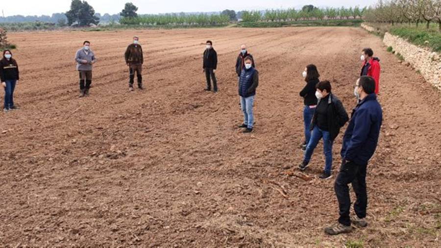 Visita de productors i tècnics a camps de la Ribera. FOTO: DEPARTAMENT D’AGRICULTURA